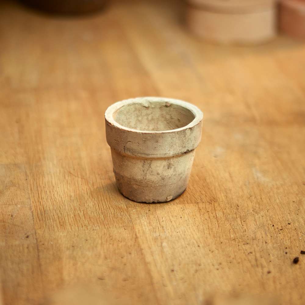 Terracotta kruka – Ø: 6,5 cm